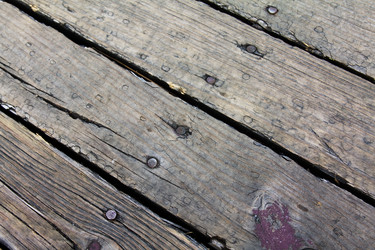 Similar image 8309721