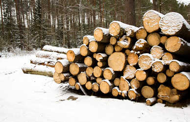 Similar image 8309722