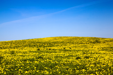 Similar image 8309733