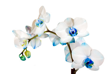 Similar image 8309760