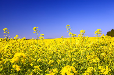 Similar image 8309767