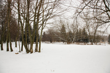 Similar image 8309781