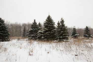 Similar image 8309804