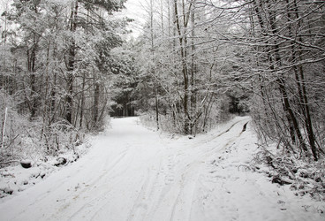 Similar image 8309813