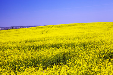 Similar image 8309827