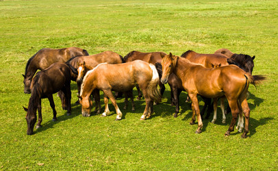 Similar image 8309828