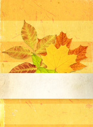 Similar image 8309995