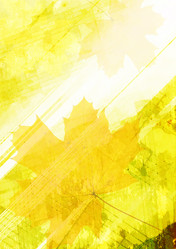 Similar image 8310001