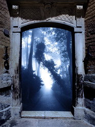 Similar image 8310003