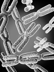 Similar image 8310009