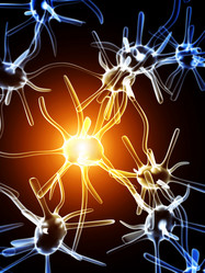 Similar image 8310013