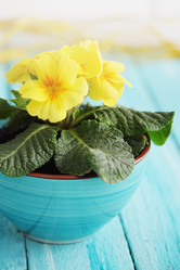 Similar image 8310081