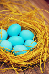 Similar image 8310157