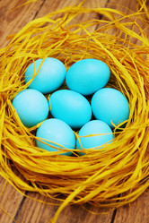 Similar image 8310169