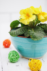 Similar image 8310201