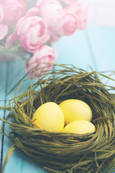 Similar image 8310209