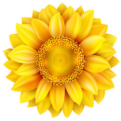 Similar image 8310231