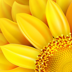 Similar image 8310232