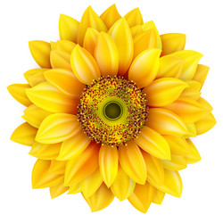 Similar image 8310241