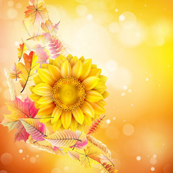 Similar image 8310305