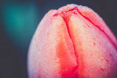 Similar image 8310332