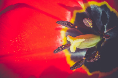 Similar image 8310333