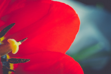 Similar image 8310336