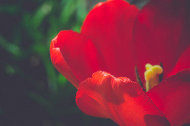 Similar image 8310337