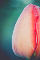 Similar image 8310338