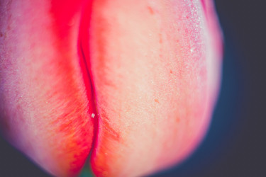 Similar image 8310340