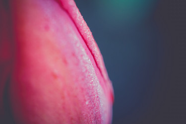 Similar image 8310341