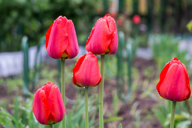 Similar image 8310342