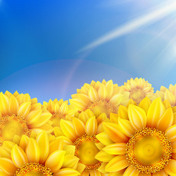 Similar image 8310355