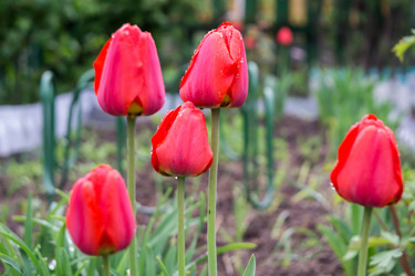 Similar image 8310372