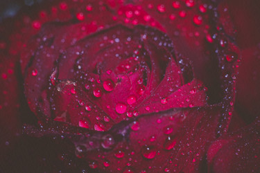 Similar image 8310373