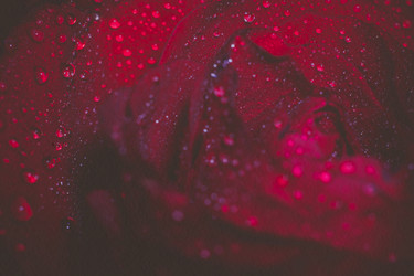 Similar image 8310374