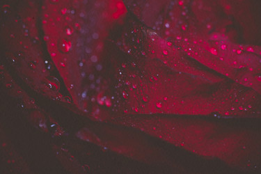 Similar image 8310391