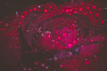 Similar image 8310411