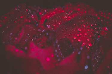 Similar image 8310412