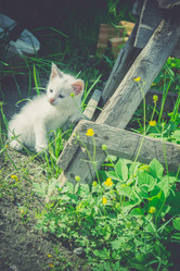 Similar image 8310422