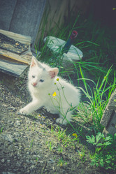 Similar image 8310423