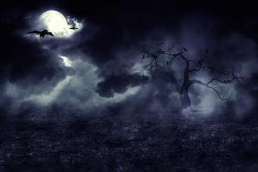 Similar image 8310478