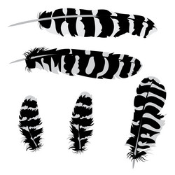 Similar image 8310514