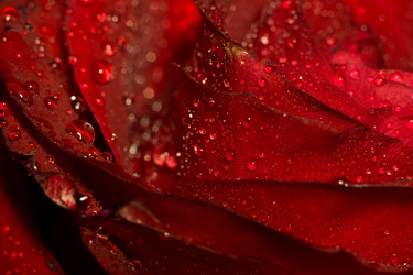 Similar image 8310562