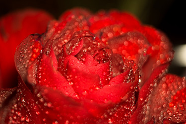 Similar image 8310565