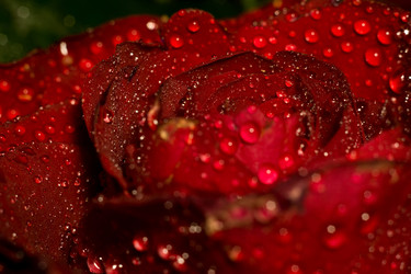 Similar image 8310567