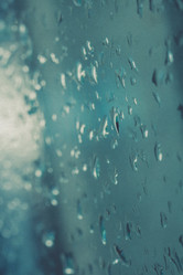 Similar image 8310568