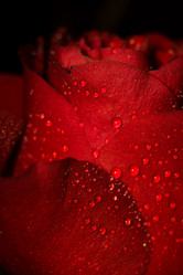 Similar image 8310572