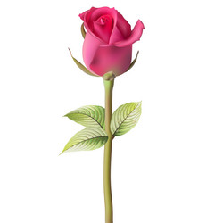 Similar image 8310580