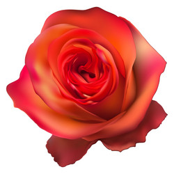 Similar image 8310583